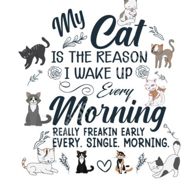 My Cat is the Reason I Wake Up Every Morning - REALLY Freakin Early Every, Single Morning Thumbnail