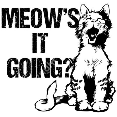 Meow's It Going Thumbnail