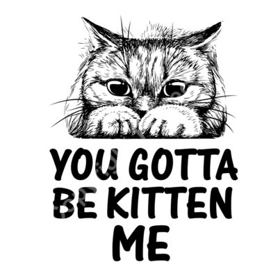 You Gotta Be Kitten Me Thumbnail