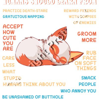 Cat Wisdom Humans Should Learn From Thumbnail