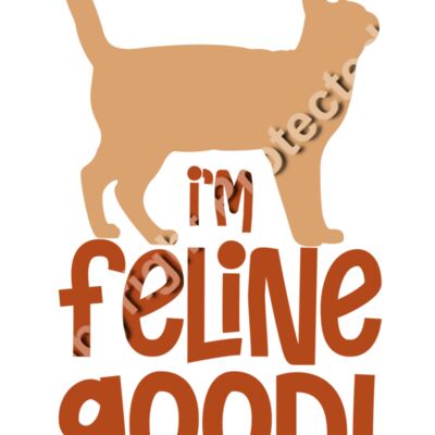 I'm Feline Good Thumbnail