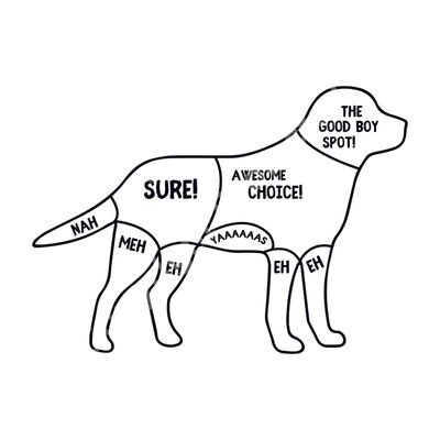 Dog Petting Instructions Thumbnail