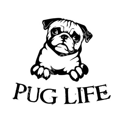 Pug Life Thumbnail