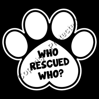 Who Rescued Who Thumbnail