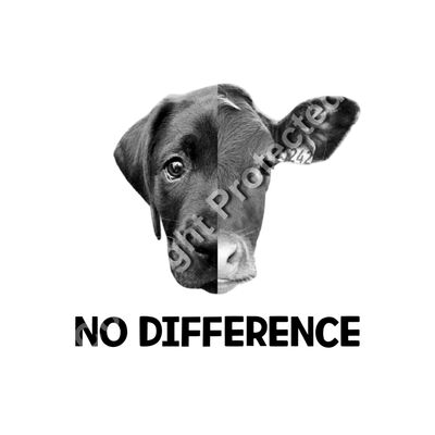 Cows and Dogs - No Difference Thumbnail