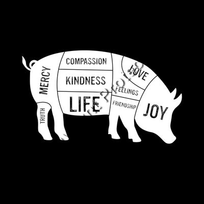 PIG - Animal of Many Emotions Thumbnail