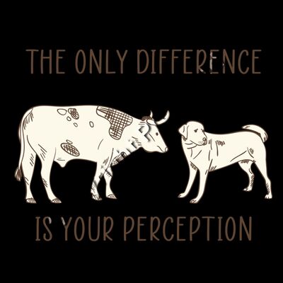 The Only Difference is Your Perception Thumbnail