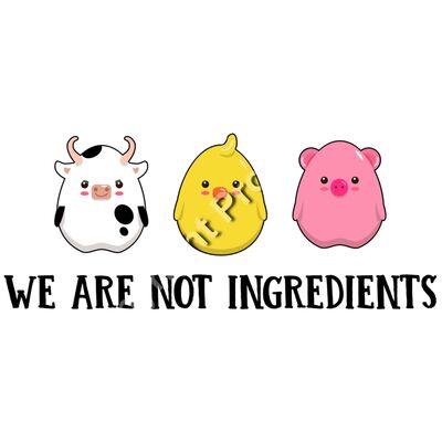 We Are Not Ingredients Thumbnail